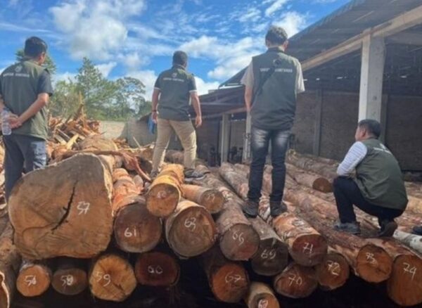 Gakkum Kehutanan Temukan 238 Batang Kayu yang Diduga Belum Dilengkapi Dokumen Sah di Humbang Hasundutan
